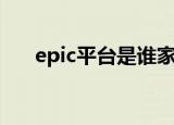 epic平台是谁家的（epic是什么平台）