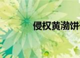 侵权黄渤饼干公司被执行百万