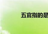 五官指的是什么（五官介绍）