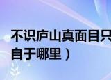 不识庐山真面目只缘身在此山中什么意思（出自于哪里）