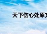天下伤心处原文（天下伤心处译文）