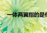 一体两翼指的是什么（一体两翼的解释）