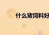 什么猪饲料好用（什么猪饲料好）