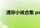 清穿小说合集 pansite（清穿小说合集）