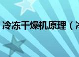 冷冻干燥机原理（冷冻干燥机的原理是什么）
