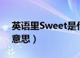 英语里Sweet是什么意思（英语里Sweet的意思）
