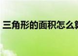 三角形的面积怎么算四年级（三角形的面积）