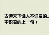 古诗天下谁人不识君的上一句是什么（什么诗句是天下谁人不识君的上一句）