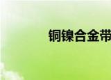 铜镍合金带点铅（铜镍合金）