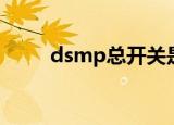 dsmp总开关是什么意思（dsmp）