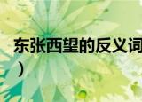 东张西望的反义词（和东张西望意思相反的词）