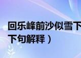 回乐峰前沙似雪下句是什么（回乐峰前沙似雪下句解释）