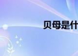 贝母是什么（贝母简介）