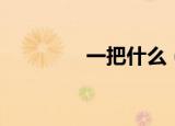 一把什么（一把什么词语）