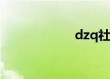 dzq社区（tz社区）