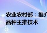 农业农村部：推介发布2022年粮油生产主导品种主推技术