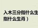 入木三分指什么生肖用敉字怎么解（入木三分指什么生肖）