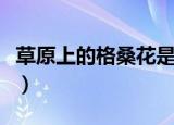 草原上的格桑花是什么歌曲（草原上的格桑花）