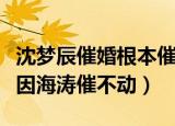 沈梦辰催婚根本催不动海涛（沈梦辰称不结婚因海涛催不动）