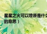 星星之火可以燎原是什么意思（怎么理解星星之火可以燎原的意思）