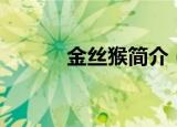 金丝猴简介（金丝猴简介描述）