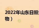 2022年山东日照全运会吉祥物（全运会吉祥物）