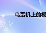鸟蛋机上的模具怎么换（鸟蛋机）