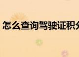 怎么查询驾驶证积分（如何查询驾驶证积分）