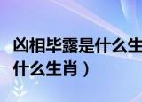 凶相毕露是什么生肖什么号码啊（凶相毕露是什么生肖）
