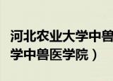 河北农业大学中兽医学院分数线（河北农业大学中兽医学院）