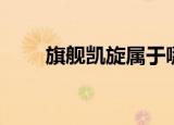 旗舰凯旋属于哪个街道（旗舰凯旋）