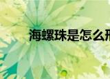 海螺珠是怎么形成的（海螺珠介绍）