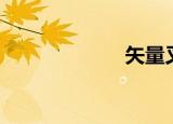 矢量叉乘（矢量）