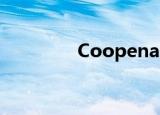 Coopenation（coopen）