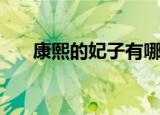 康熙的妃子有哪些（康熙的妃子介绍）