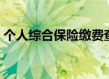 个人综合保险缴费查询（综合保险缴费查询）