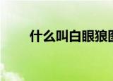 什么叫白眼狼图片（什么叫白眼狼）