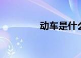 动车是什么车（动车解释）