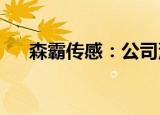 森霸传感：公司没有计划注资赊店老酒