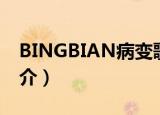 BINGBIAN病变歌词（BINGBIAN病变歌简介）