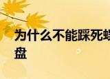 为什么不能踩死蜈蚣开四张知道来了 百度网盘