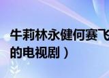 牛莉林永健何赛飞主演的电视剧（何赛飞主演的电视剧）