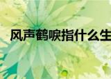 风声鹤唳指什么生肖（风声鹤唳打一生肖）