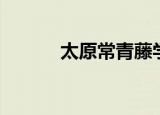 太原常青藤学校（常青藤学校）