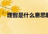 理智是什么意思解释（理智是什么意思）