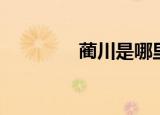 蔺川是哪里（蔺河在哪里）