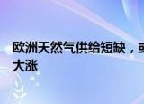 欧洲天然气供给短缺，或将影响化工品供应，化工类股集体大涨