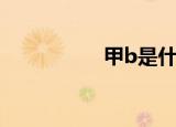 甲b是什么意思（甲b）