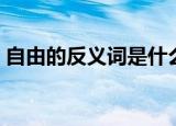 自由的反义词是什么（自由的概念是怎样的）