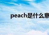 peach是什么意思（peach如何解释）